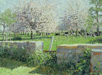 Cows in the Orchard, 1988 by Lucy Willis